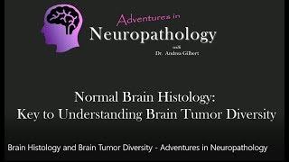 Brain Histology and Brain Tumor Diversity  Adventures in Neuropathology [upl. by Alrahc]