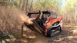 EXPLODING WHOLE TREES LIKE CONFETTI Rut Disc Mulcher VS Drum Mulcher Which Is Better [upl. by Pubilis]