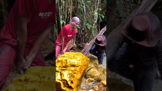 AMAZING WORKERS SKILLS DIGGING GOLD NUGGETS shortvideo trendingshorts metaldetecting water [upl. by Urquhart]