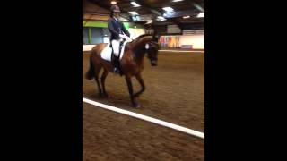 From yesterday 1st place in Novice Freestyle Dressage to Music [upl. by Knah321]