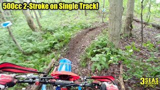 500cc 2stroke dirt bike on single track 2024 Beta 500 Race Edition [upl. by Anialahs]