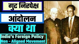 BA Program 3rd Year Political Science Important Questions with Solutions  Non  Alignment Movement [upl. by Ilojna]