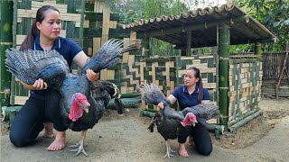 Building Bamboo House For Turkey  Process From Start To Finish  Lý Thị Ca [upl. by Shuler908]