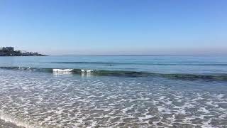 Swimming in December at La Jolla Shores California [upl. by Norling]