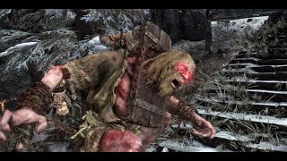 Sekiro  Chained Ogre Ashina Outskirts  Sword Only No Kuros Charm AP1 No Hit  Damage [upl. by Dedric613]