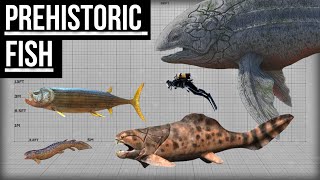 Largest Prehistoric Fish  Size Comparison [upl. by Ainola582]