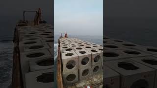 Excavator Dumping Wave Dissipating Concrete Block in the Sea  Coastal Erosion Solution [upl. by Eidderf]