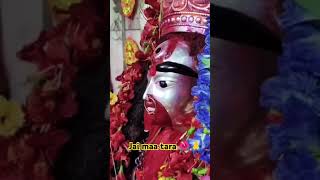 Jai maa tara 🌺🙏hindudeity foryou song hindudeity short love [upl. by Zoller]