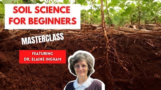 How to Build Great Soil  A Soil Science Masterclass with Dr Elaine Ingham Part 1 of 4 [upl. by Orvan]