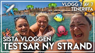 PERFEKT SISTA DAG  STRESS DELUX MINUTER INNAN AVGÅNG  VLOGG 7 AV 7 TENERIFFA [upl. by Bowne512]