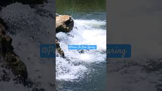 Beautiful water falls at Ponce Deleon spring Florida USA [upl. by Adnovaj]