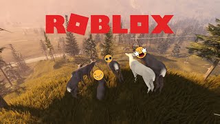 Being furries for a day  ROBLOX [upl. by Atikat]