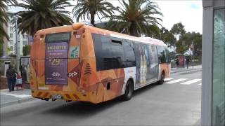 Melbourne Transport  Buses at Doncaster [upl. by Valentin]