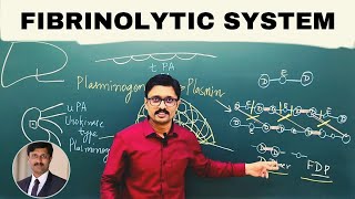 8 Fibrinolytic System [upl. by Eenad]