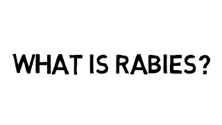 What is rabies [upl. by Elynad]