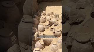 ¡Vino de 5000 años descubierto en Egipto [upl. by Annohsed26]