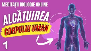 Alcătuirea corpului uman  curs biologie anatomie și genetică [upl. by Samford]