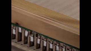 How does a harpsichord work [upl. by Ress]