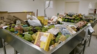 See What Really Happens To The Illegal Food Confiscated At US Customs [upl. by Trebbor]