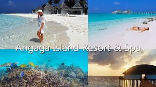 Angaga Island Resort amp Spa │ Malediven │ 2024 [upl. by Yrruc]