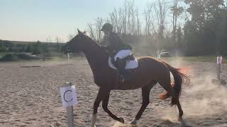 Ontario Collegiate Dressage Training Level Test 09142024 African Princess [upl. by Moshell]