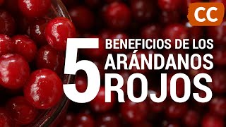 5 Beneficios de los Arándanos Rojos  Ciencia de la Comida [upl. by Eugine]