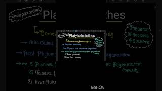 revise phylum platyhelminthes in 56 seconds [upl. by Nnawtna]