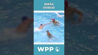 Epic Water Polo Goals by Niksa Dobud shorts waterpolo vaterpolo pallanuoto vizilabda sport [upl. by Richers235]