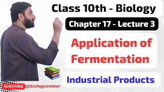 Class 10  Biology  Chapter 17  Lecture 3  Application of Fermentation [upl. by Hutner918]