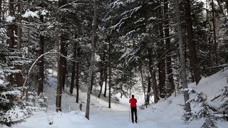 Cross Country Skiing  A Pure Michigan Winter [upl. by Harihs]