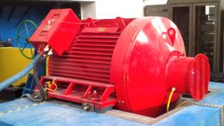 Runup of large 1100kW 500rpm Line Start Permanent Magnet Synchronous Motor [upl. by Harikahs]