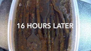 Time Lapse  Watching rust fall off using vinegar [upl. by Akeenat]