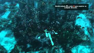 Tomb Raider Underworld Sapphire HD 5450 [upl. by Ariaj374]