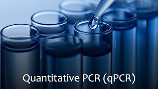 Quantitative Polymerase Chain Reaction qPCR [upl. by Winnie]