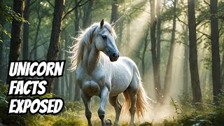 Unicorn LEGENDS Faceoff Myth vs History [upl. by Lorola904]