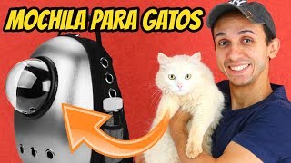 MOCHILA PARA GATOS  Testei com a Pantera [upl. by Wendel]