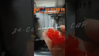 Pull amp Push Cap for Dishwasher Fluid from Mincong Mould [upl. by Aloivaf515]