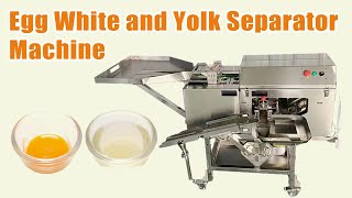 How to Separate the Egg Yolk from the Egg White Efficient Automated Egg Separator [upl. by Felske]