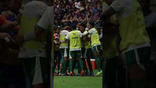 O PALMEIRAS É O TIME DA VIRADA [upl. by Razal]