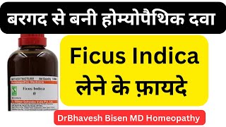 FICUS INDICA Q in Hindi  Ficus Indica Homeopathic Medicine  FICUS INDICA Homeopathy  BB  DrBB [upl. by Letnuahs5]