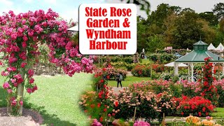 Victoria State Rose Garden werribee south amp Wyndham Harbour [upl. by Murry687]