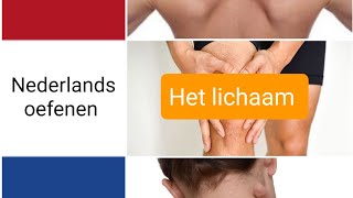 Het lichaam  body parts  woordenschat  Nederlands leren  NT2  learning Dutch [upl. by Cheney]