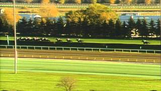 1996 Breeders Cup Turf [upl. by Harvison]