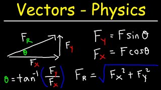 Vectors  Basic Introduction  Physics [upl. by Seafowl]