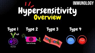 Hypersensitivity Reactions VISUALIZED  Immunology [upl. by Atlas]