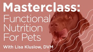 Masterclass How to Integrate Functional Nutrition into Pet Patient Care [upl. by Nizam]