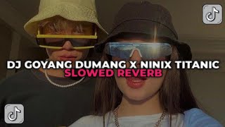 DJ GOYANG DUMANG X NINIX TITANIC  DJ MELODY GOYANG DUMANG YANG KALIAN CARI CARI [upl. by Levesque375]