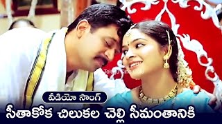 SEETHAKOKA CHILAKA LA CHELLI  SONG  PUTTINTIKI RA CHELLI  ARJUN  MADHUMITA  TELUGU CINE CAFE [upl. by Nowell]