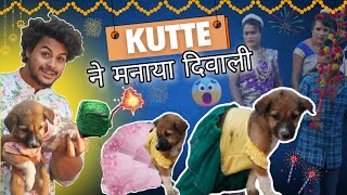 कुत्ते🐶मे मनाया Happy🎆Diwali  comedy diwalicomedy [upl. by Yemrots]