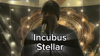 Incubus Stellar Cover [upl. by Jara73]